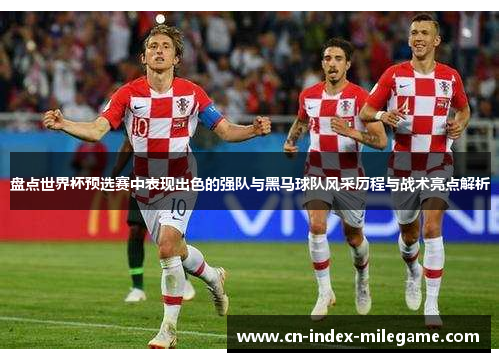 盘点世界杯预选赛中表现出色的强队与黑马球队风采历程与战术亮点解析 盘点世界杯预选赛中表现出色的强队与黑马球队风采历程与战术亮点解析